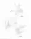 Fig. 22 - STREAMLINED FLAT WINDSCREEN WIPER