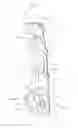 Fig. 04 - Vehicle front part structure
