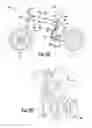 Fig. 14 - Bicycle frame joint locking mechanism