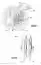 Fig. 23 - Wheel coupling