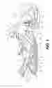 Fig. 02 - Drive track and drive sprocket for a vehicle