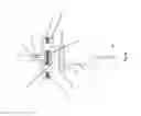 Fig. 28 - Variable coupler drive