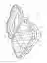 Fig. 03 - Dual compartment produce container having two receptacles separated by a barrier defined by oppositely oriented walls of each of the two receptacles