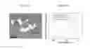Fig. 15 - Sorting two-dimensional nanomaterials by thickness