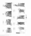 Fig. 04 - Self assembling beta-barrel proteins position nanotubes