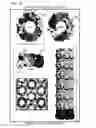 Fig. 14 - Self assembling beta-barrel proteins position nanotubes