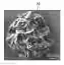 Fig. 01 - Granules of graphene oxide by spray drying