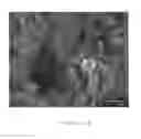 Fig. 06 - METHOD FOR PRODUCING SYNTHETIC DIAMONDS