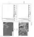 Fig. 08 - Method for manufacturing carbonate