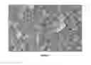 Fig. 06 - Preparing layered double hydroxide nanostructures