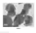 Fig. 07 - Preparing layered double hydroxide nanostructures