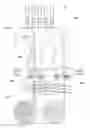 Fig. 01 - Glass sheet and system and method for making glass sheet
