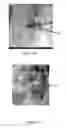 Fig. 03 - Layered transparent conductive oxide thin films
