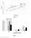 Fig. 04 - Layered transparent conductive oxide thin films