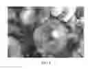 Fig. 02 - Method for producing low porosity nonoxide ceramics