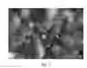 Fig. 04 - Method for producing low porosity nonoxide ceramics