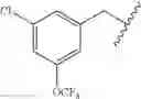 Fig. 125 - Bicyclo [2.2.1] acid GPR120 modulators