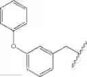 Fig. 136 - Bicyclo [2.2.1] acid GPR120 modulators