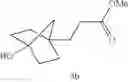 Fig. 19 - Bicyclo [2.2.1] acid GPR120 modulators