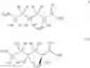 Fig. 02 - Lysine isotopologues, compositions comprising the same and methods of synthesis