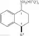 Fig. 24 - PREPARATION OF CHIRAL AMIDES AND AMINES