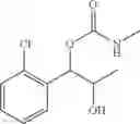 Fig. 197 - Phenyl carbamate compound and a composition for preventing or treating a memory loss-related disease comprising the same