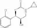 Fig. 205 - Phenyl carbamate compound and a composition for preventing or treating a memory loss-related disease comprising the same