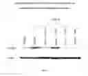 Fig. 02 - Substituted biaryl sulfonamides and the use thereof