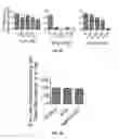 Fig. 08 - Protective molecules against anthrax toxin