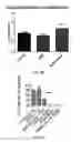 Fig. 09 - Protective molecules against anthrax toxin