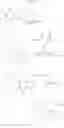 Fig. 17 - Indole and indazole compounds that activate AMPK