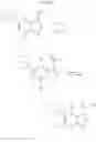 Fig. 19 - Indole and indazole compounds that activate AMPK