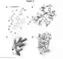 Fig. 04 - Methods, compounds, and compositions for the treatment of angiotensin-related diseases