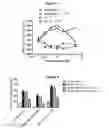 Fig. 05 - Methods, compounds, and compositions for the treatment of angiotensin-related diseases