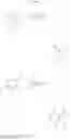 Fig. 28 - Microbicidally active imidazopyridine derivatives