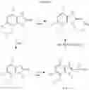 Fig. 31 - Microbicidally active imidazopyridine derivatives