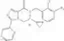 Fig. 121 - Substituted [1,2,4]triazolo[4,3-a]pyrazines as P2X7 modulators