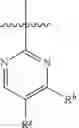 Fig. 22 - Substituted [1,2,4]triazolo[4,3-a]pyrazines as P2X7 modulators