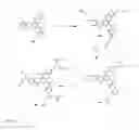 Fig. 07 - Compounds with oxime ester and/or acyl groups