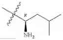 Fig. 22 - Aryl amide-based kinase inhibitors