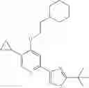 Fig. 166 - Pyridine derivatives