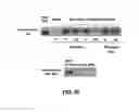 Fig. 06 - Inhibitors of retroviral replication