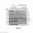 Fig. 24 - Inhibitors of retroviral replication