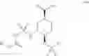 Fig. 22 - Preparation method of optically active diamine compound