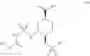 Fig. 56 - Preparation method of optically active diamine compound