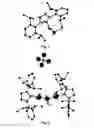 Fig. 02 - Gold complexes