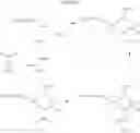 Fig. 34 - Beta-lactamase inhibitors