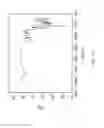 Fig. 13 - CRYSTALLIZATION METHOD AND BIOAVAILABILITY