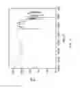 Fig. 15 - CRYSTALLIZATION METHOD AND BIOAVAILABILITY
