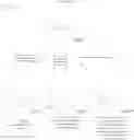 Fig. 16 - Modified nucleic acid